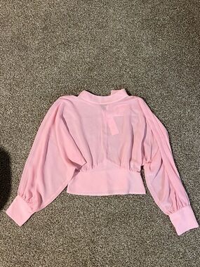Zara Light Pink Sheer Balloon-Sleeve Blouse